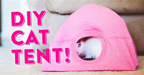 DIY Cat Tent - Easy Cat Tent Tutorial