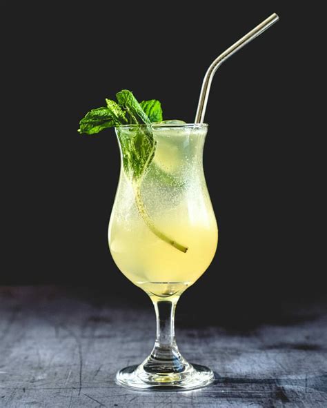 10 Fresh Mint Cocktails – A Couple Cooks