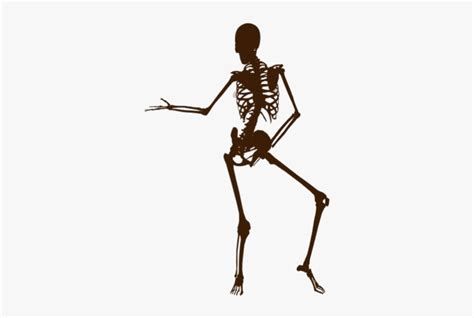 Funny Skeleton Png Image Clipart - Funny Skeleton Png, Transparent Png , Transparent Png Image ...