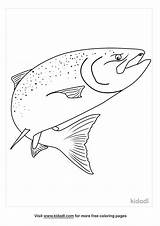 Free Chinook Salmon Coloring Page  Printables Kidadl sketch template