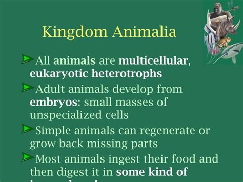 PPT - KINGDOM ANIMALIA General Characteristics of Animals PowerPoint ...