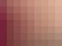 120 Skin color palette ideas in 2023 | skin color palette, color palette, skin color