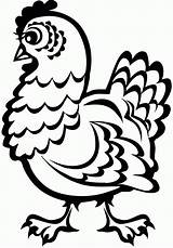 Printable Chicken Coloring Pages  Home sketch template