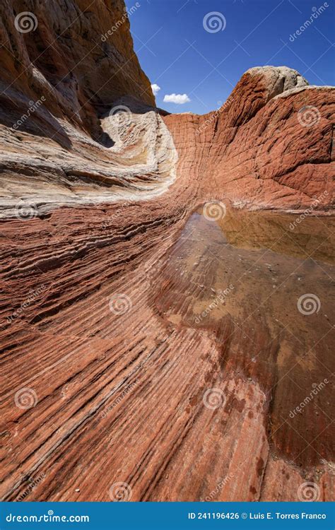 Rock Formation in White Pocket Stock Photo - Image of erosion, natural: 241196426