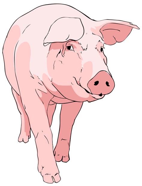 Free Pig Clipart Pictures - Clipartix