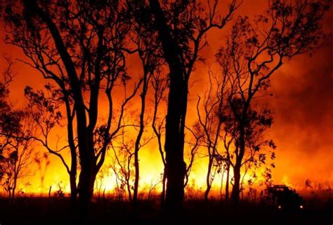 Entire Australian town evacuated in face of bushfire - Australian Times ...