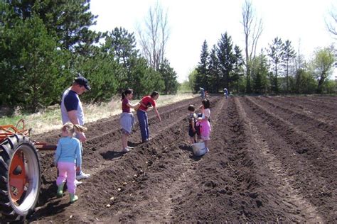 We Surveyed 147 Farm Members... - Fresh Earth Farms - CSA