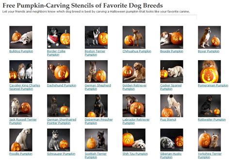 Anything Knitted and Crocheted: I came across this cute site for pumpkin carving stencils on ...