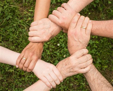 Group of People Holding Arms · Free Stock Photo