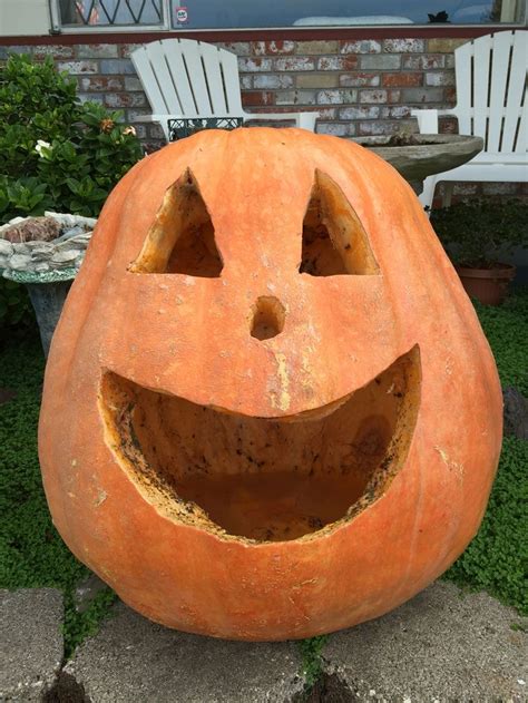 Dad's biggest pumpkin 2015 | Biggest pumpkin, Pumpkin, Pumpkin carving