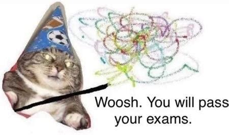 Good luck on your exams : r/teenagers