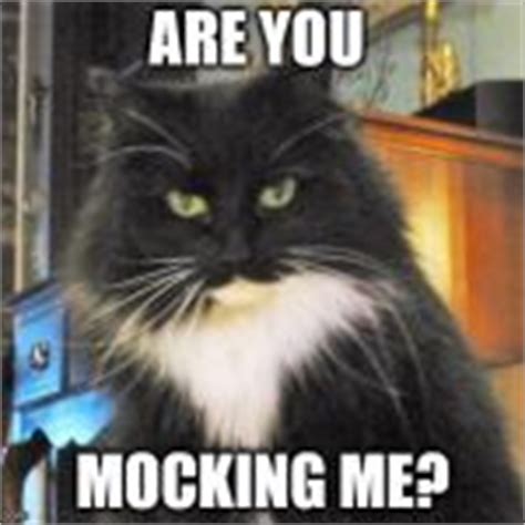 Gwen the evil cat Meme Generator - Imgflip