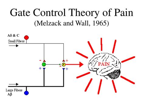 PPT - Definition of Pain (IASP) PowerPoint Presentation, free download - ID:4095750