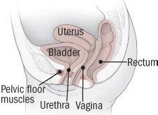 Bladder infection (cystitis) Guide: Causes, Symptoms and Treatment Options