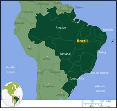 The Australian Intervention Moves to Brazil | Intercontinental Cry