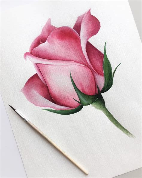 Nadezhda Savina 🎨 Watercolor painting on Instagram: "Ещё одна роза🎨🌹" | Pencil drawings of ...