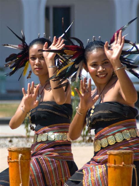 Belis 77 Ekor Kerbau, Mas Kawin Meminang Gadis Timor Leste