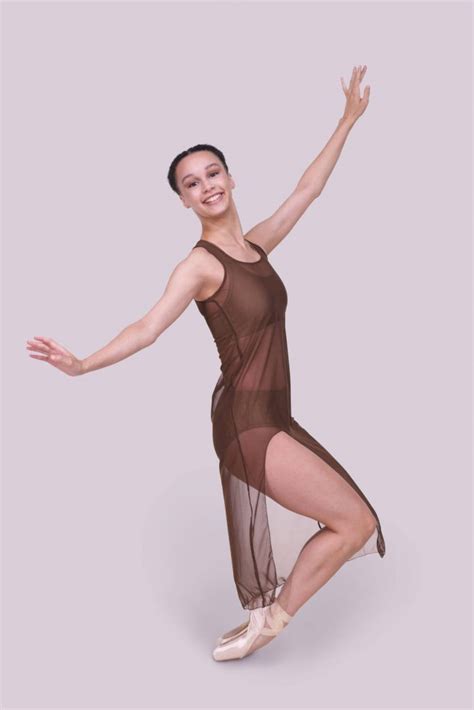 Tonya Mesh Dress - Merlot | Anina Dancewear