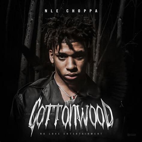 NLE Choppa – Cottonwood (Album Stream) | Home of Hip Hop Videos & Rap Music, News, Video ...