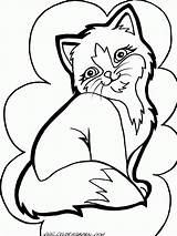 Cat And Kitten Coloring Page  Home sketch template