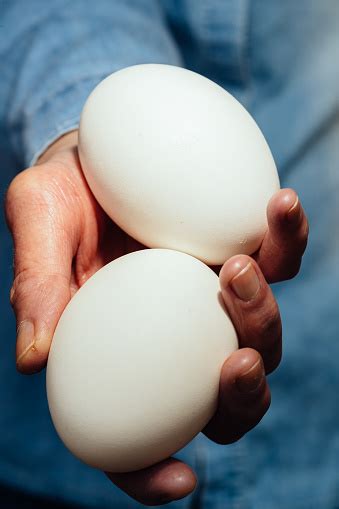 Chinese Goose Eggs Stock Photo - Download Image Now - Animal Egg, Egg - Food, Goose - Bird - iStock