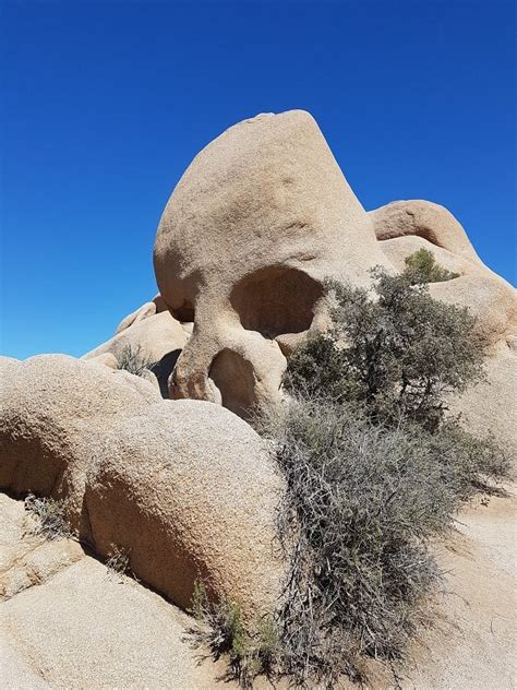 Skull Rock (Joshua Tree National Park) - ATUALIZADO 2023 O que saber ...