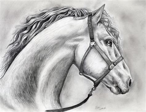 Free Horse Drawing, Download Free Horse Drawing png images, Free ClipArts on Clipart Library