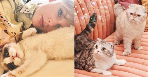 Taylor Swift And Her Cats