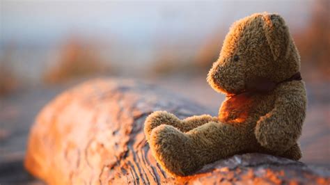 Pictures of sad teddy bear lost & lonely feeling after love break up