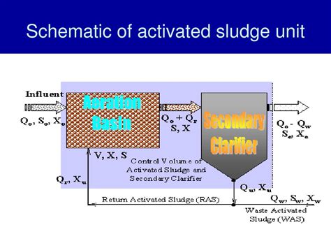 PPT - Activated Sludge Design (Complete Mix Reactor) PowerPoint Presentation - ID:1182904