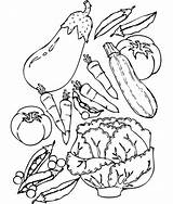 Vegetable Coloring Pages  Best For Kids sketch template