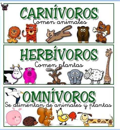 Animales Carnívoros, Herbívoros y Omnívoros (características y diferencias) - Cuadro Comparativo