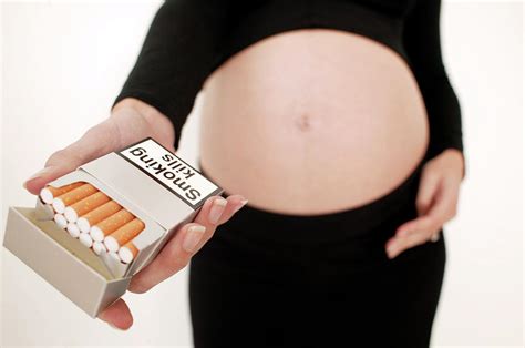 Smoking During Pregnancy Photograph by Ian Hooton/science Photo Library ...