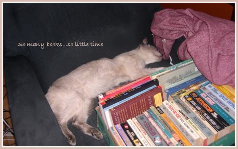 So many books | apparently he wore himself out reading books… | Flickr