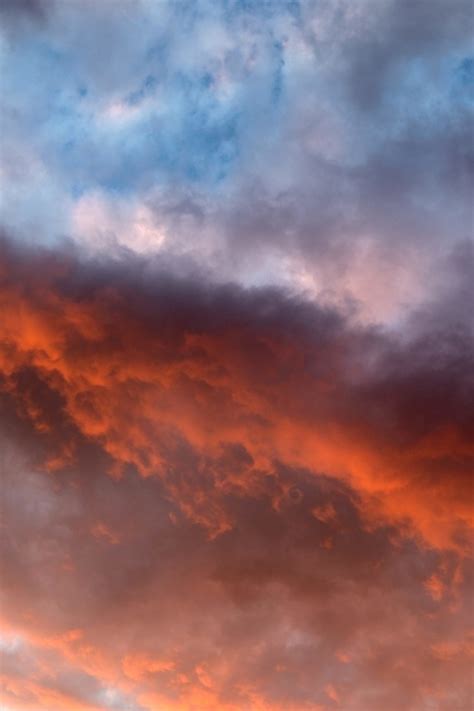 Free picture: orange clouds, colorful sky, sunset, clouds, trees