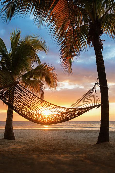 Jamaica, Hammock On Beach At Sunset Photograph by Tetra Images - Pixels