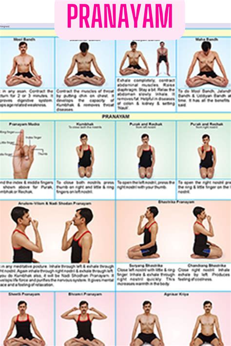 Yoga Pranayama Poses for Beginners