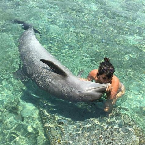 Acuario en Cartagena, Descubre un Maravilloso Mundo Acuatico