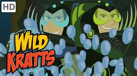 Wild Kratts ⭕🌊 Activate Deep Blue Water Powers! | Kids Videos - YouTube