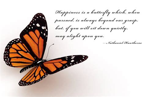 Butterfly Quotes Wallpapers - Top Free Butterfly Quotes Backgrounds - WallpaperAccess