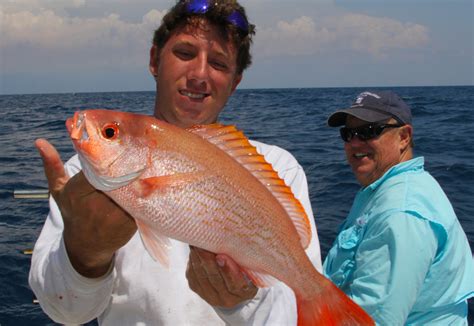 Atlantic Vermilion Snapper Season Eliminated - Florida Sportsman