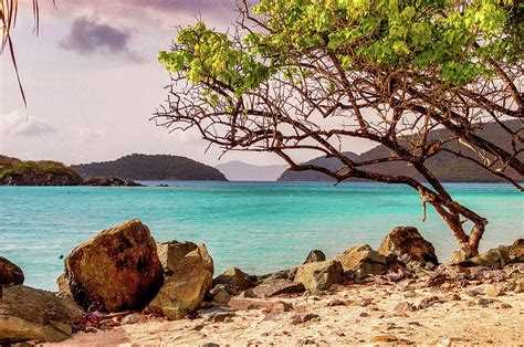 Cinnamon Bay beach in St John USVI_9 Photograph by James C Richardson ...