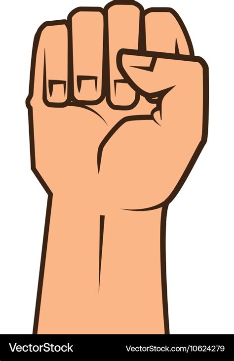 Hand closed fist Royalty Free Vector Image - VectorStock