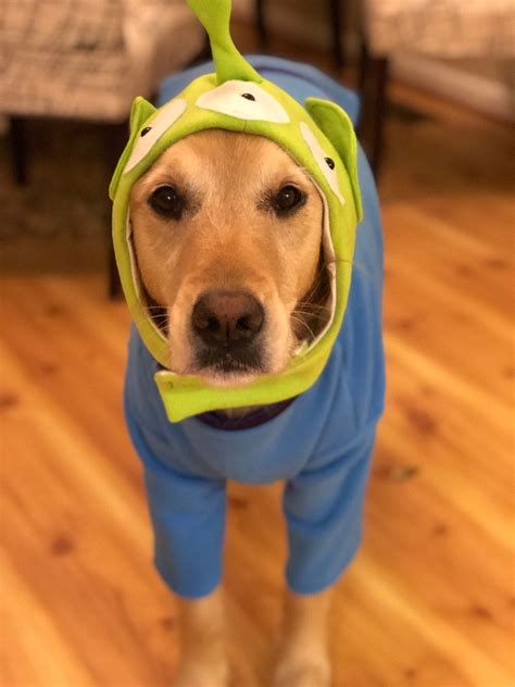 Alien dog costume Toy Story Alien dog outfit Halloween dog | Etsy