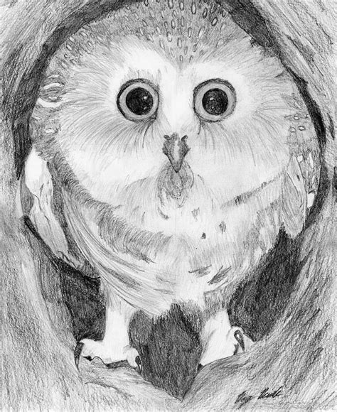 Big-Eyed Owl by Wavemoon on DeviantArt