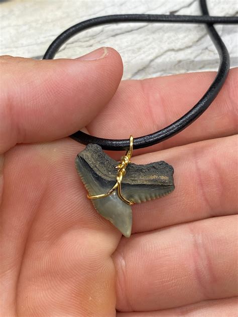 Tiger Shark Necklace, Shark Tooth Necklace, Fossil Shark Tooth Necklace - Etsy