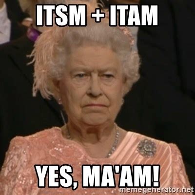 ITSM + ITAM, Yes, ma'am! - Unhappy Queen - Meme Generator