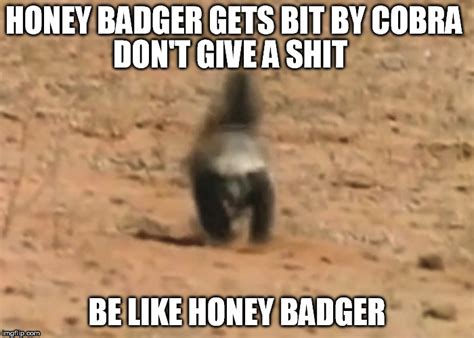Be like honey badger - Imgflip