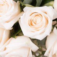 12 White Roses - International Flower Delivery - FloraQueen