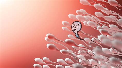 How To Increase Motility Of Sperm - Possibilityobligation5